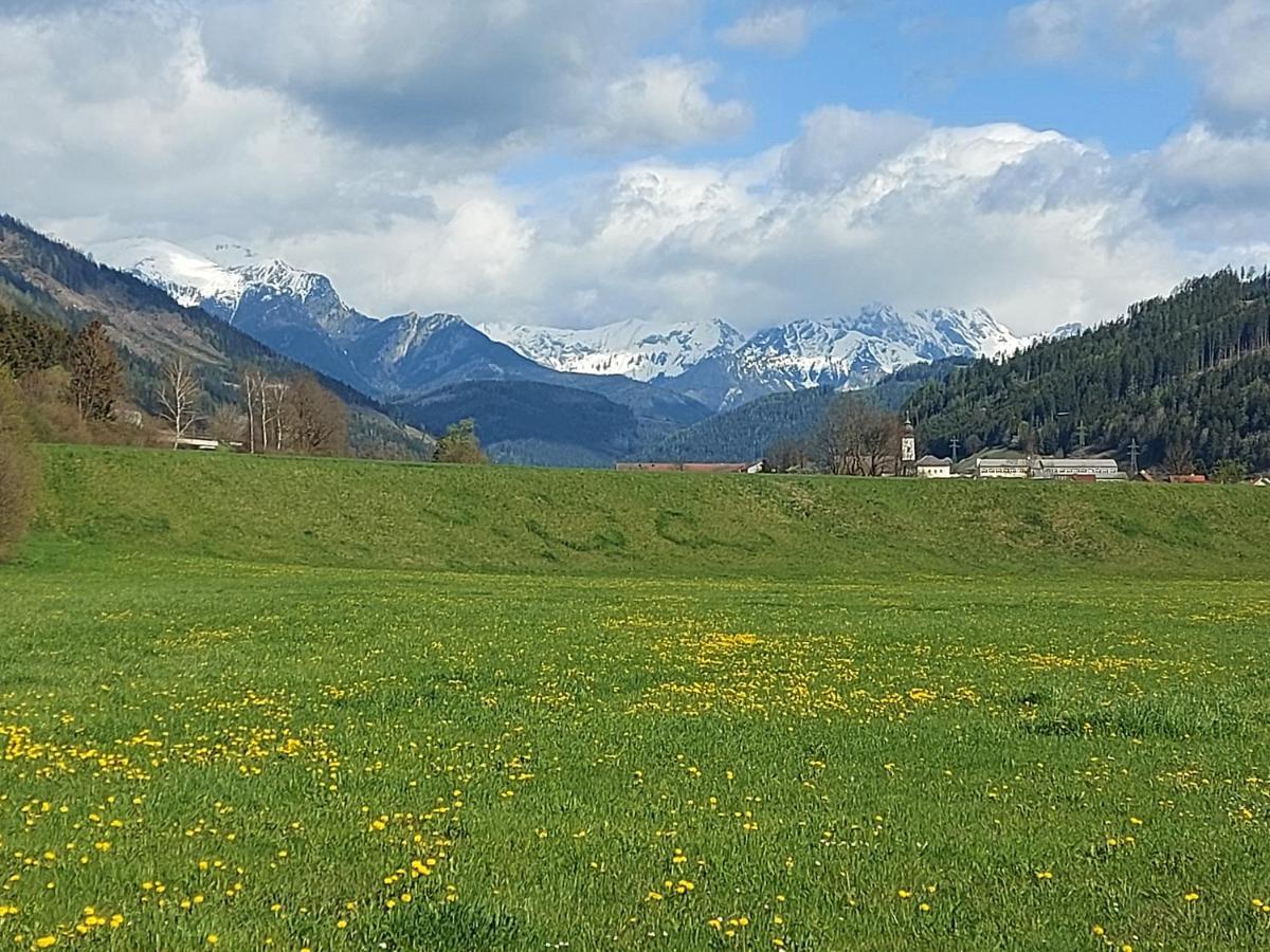 Auszeit Steiraland 6 Mit Ueberdachter Terasse Schoenen Garten Und Kostenlosen Parkplatz Leoben  Exteriér fotografie